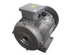 Special Motors For Pressure Washers