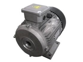 Wholesale Special Motors For Pressure Washers from china suppliers