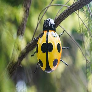 Wholesale Backyard Metal Ladybug Decor Outdoor Garden Ladybird Ornaments from china suppliers