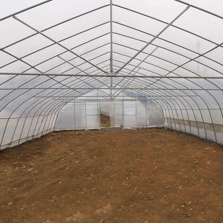 Polytunnel Cooling System Tunnel Plastic Greenhouse With Circulation Fan