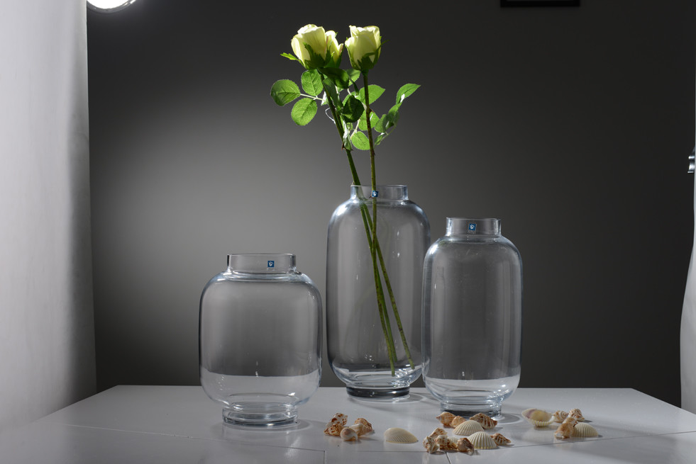 OEM Handmade Transparent Glass Vase For Decor