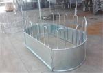 Australia standard galvanized cattle panel fence Cattle Crush,Cattle Chute