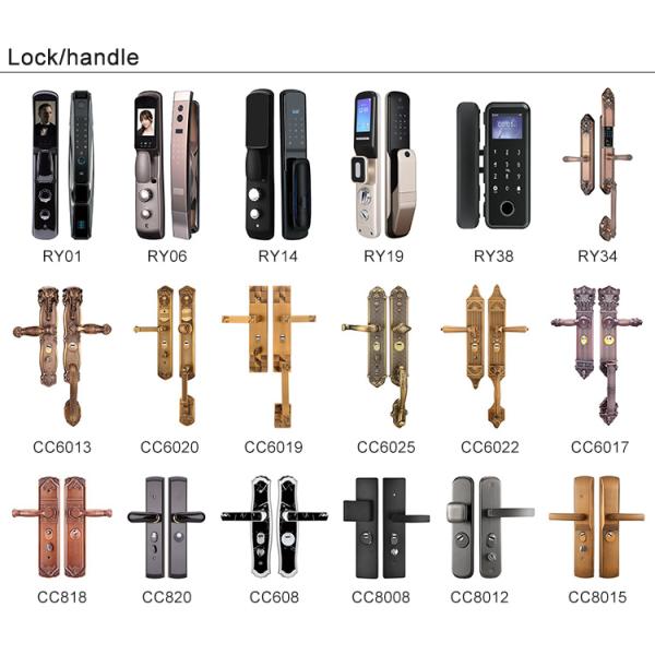 Modern Design Foshan Aluminum Pivot Entrance Door for Residential Main Entry Exterior French House Villa Front Entry Pivot Door