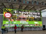 Cricket Live Filed full color HD giant screen Advertising outdoor Waterproof SMD