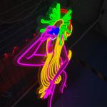 Silica Gel Indians Image Led Neon Flex Sign Artcraft Acrylic Plate