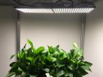 240W 660nm Quantum Board Led Grow Lights