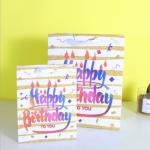 Fashion Exquisite Ivory Board Screen Printing Luxury Paper Gift Bag Shopping