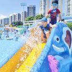 Elephant Water Park Feasibility Study Aqua Playground for Kids Water Game