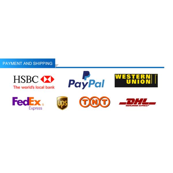 Square Round Programmable Monochrome STN/FSTN 12864 128*64 128X64 Graphic LCD Display with Customizable Backlight Color