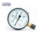 Bottom Mount Vacuum Pressure Gauge 100mm With Black Steel Case