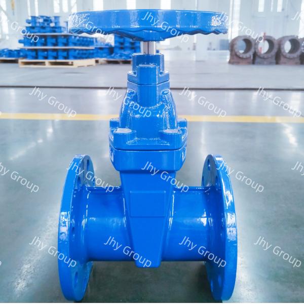 DN150 Resilient Seated Gate Valve Ductile Iron Hand Wheel Non Rising Valve