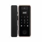 Villa Face Id Smart Lock ROHS Automatic Door Lock For Apartment