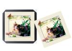 SGS 3d Lenticular Picture With PS Frame 0.6mm Pet Thickness 5d Photos