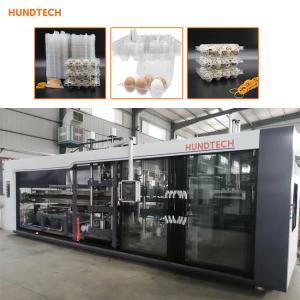 Wholesale 1.5mm Thickness Tray Forming Equipment Egg Container With Lid Thermoforming Machine from china suppliers