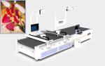 Automatic Leather Cutting Machine Non Metal Cutting Machine