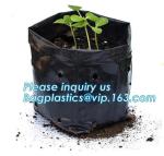 Wholesale Poly Black Square Garden Plastic Baby Flower Plant Nursery Poly Bags