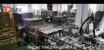 Custom Bagged Pet Food Packaging Machine Filling Conveying System