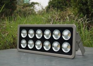 Wholesale 600 W Exterior LED Flood Lights Bright Led Cob Floodlight Cool White 6000K from china suppliers