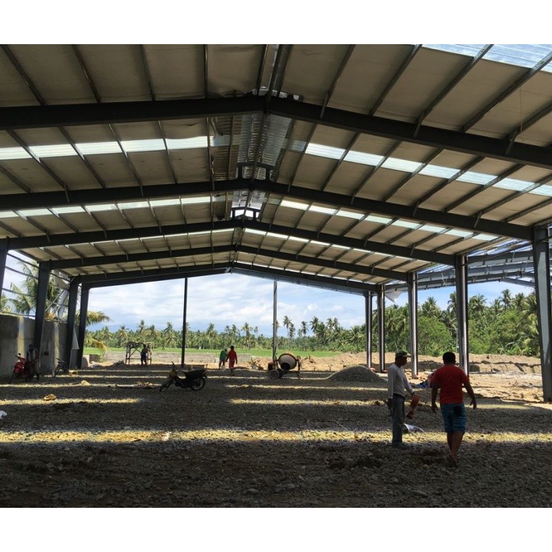 Environmental Protection Prefabricated Light Steel Structure Industrial Chicken Cage, Pig Slaughterhouse
