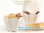 Wheat straw Compostable PLA eco-friendly biodegradable Disposable Large PLA PET