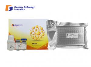 Customized Rat  Insulin Like Groeth Factor Binding Protein 3 ELISA Kit 96 Wells IGFBP3 Sandwich ELISA Kit