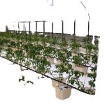 Commercial Aquaponic Aquarium System Prefabricated PO Greenhouses for Vegetables