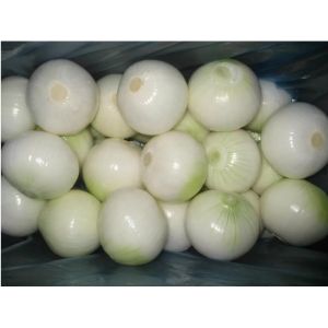 Green Red Commercial Onion Peeling Machine / Onion Peeler Industrial 220V/50HZ