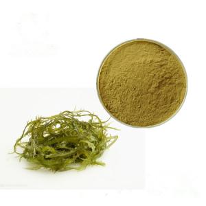 Wholesale Water Soluble Natural Alginic Seaweed Extract from china suppliers