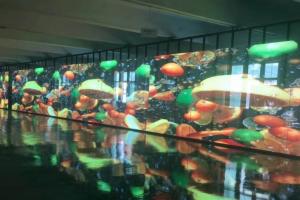 Wholesale 3500cd/ M² Transparent Glass LED Screens Display FCC IP43 12m For Jewelry Store from china suppliers