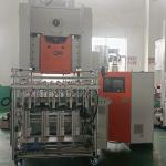 Fully Automatic 35~70 Strokes/min Disposable Tableware Aluminium Foil Plate