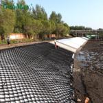 Flexible HDPE Geocell 75mm Height Panels For Retaining Walls And Channel