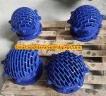 resilient seal cast iron flanged foot valve
