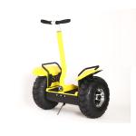 Electric Scooter Segway People Mover For Adult 125Kg Max. Load Lead Acid Battery