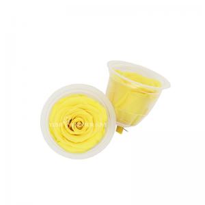 Wholesale Decorative Fresh Cut Yellow Preserved Roses 2-3 Cm from china suppliers