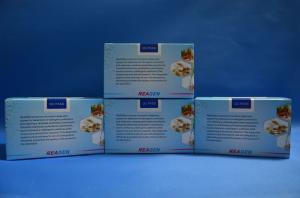 Wholesale Drug Testing Ampicillin ELISA Test Kit High Repetitive Quantitative Analysis from china suppliers