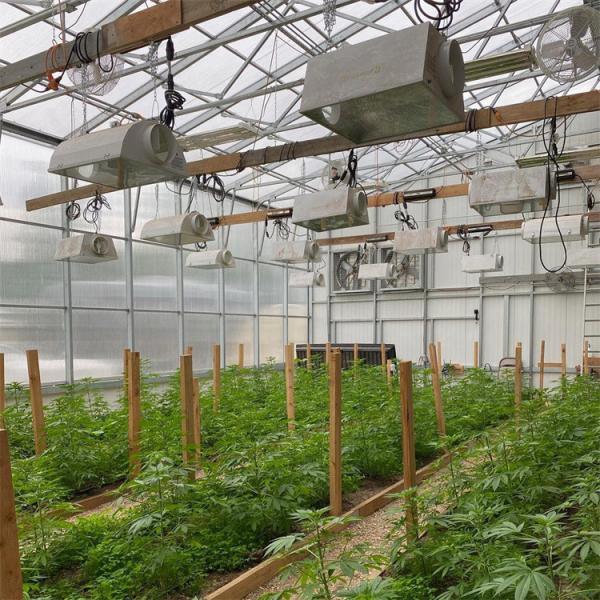 Fully Automated Light Deprivation Greenhouse Tunnel Agriculture Single-Span