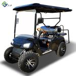 Powertrain Electric Off Road EV Golf Cart Lithium Ion Battery 2-4 Passenger