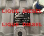BYC pump 5258154 10404716046 10 404 716 046 CPES6P120D120RS BYC 11 415 186 003