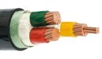 Customized 1KV 70mm2 PVC Power Cable , PVC Jacket Cable Black Sheath Color