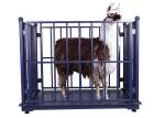 1000kg Digital Cattle Weighing Scales