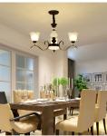 Black wrought iron chandeliers sale with Glass Lampshade (WH-CI-101)