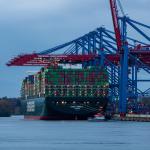 China To Brunei Cargo International Bulk Shipping Services / Breakbulk Shipping