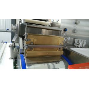 PLC 316ss Canabis Oil Soft Gel Capsule Machine