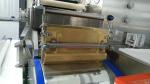 Vegan Encapsulation Machine Pharmaceutical 9000 - 18000 Capsules / H