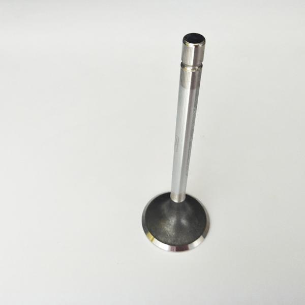 Intake And Exhaust Valve For Nissan CA16 Stainless Steel Engine Valve 13201