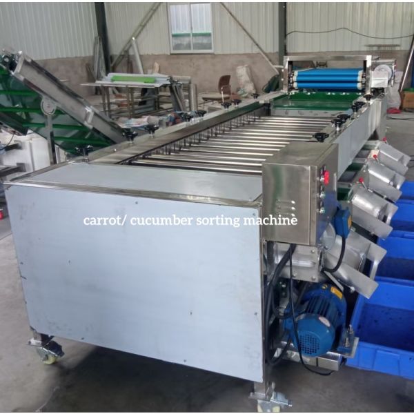 Cucumber Sorting Machine, Cucumber Grading Machine, Cucumber Grader sorter