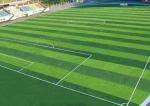 None-Filler Low Friction 30mm 3/8" Straight+Curly Lawn Soccer/Football Field