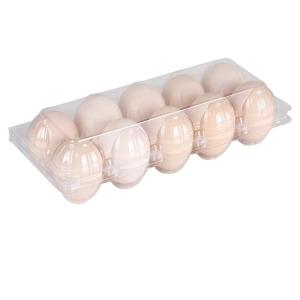 Wholesale Hinged Clamshell Clear Plastic Egg Tray 10 Holes PET Compression Resistance from china suppliers