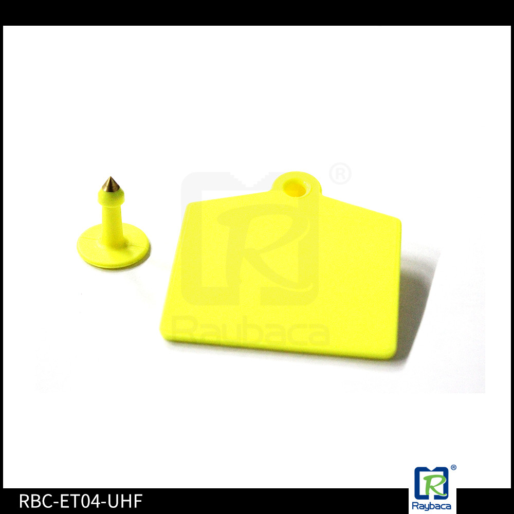 Big Size UHF RFID Livestock Tags , Engravable Cattle Ear Tags For Dairy Farm Cow