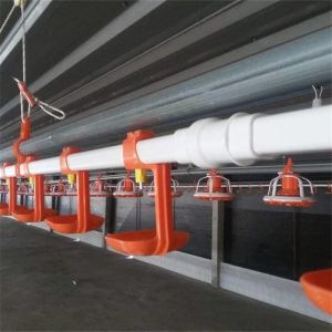 Wholesale 22mm 25mm Poultry Nipple Drinker System Poultry Farm Nipple Drinker from china suppliers